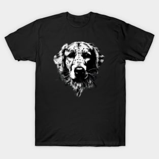 Golden Retriever Dog in black T-Shirt